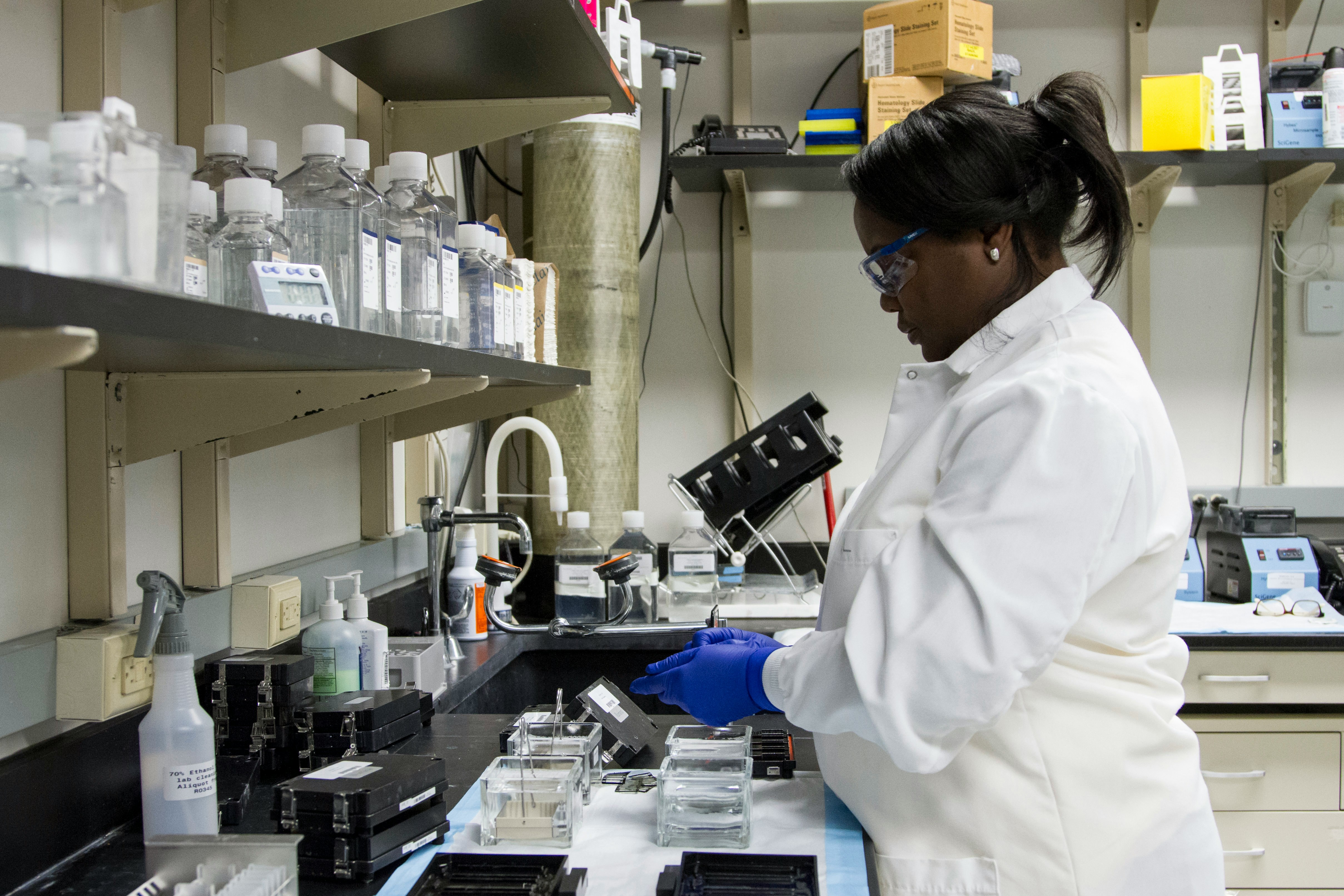 Laboratory scientist working with technical equipment at a laboratory bench