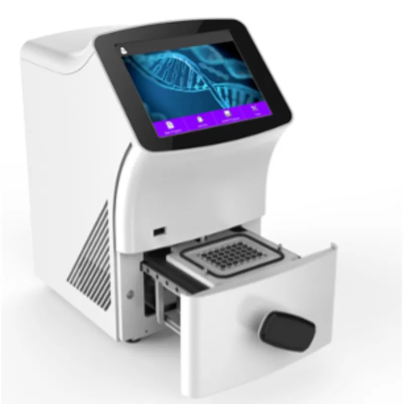 Real-Time PCR System